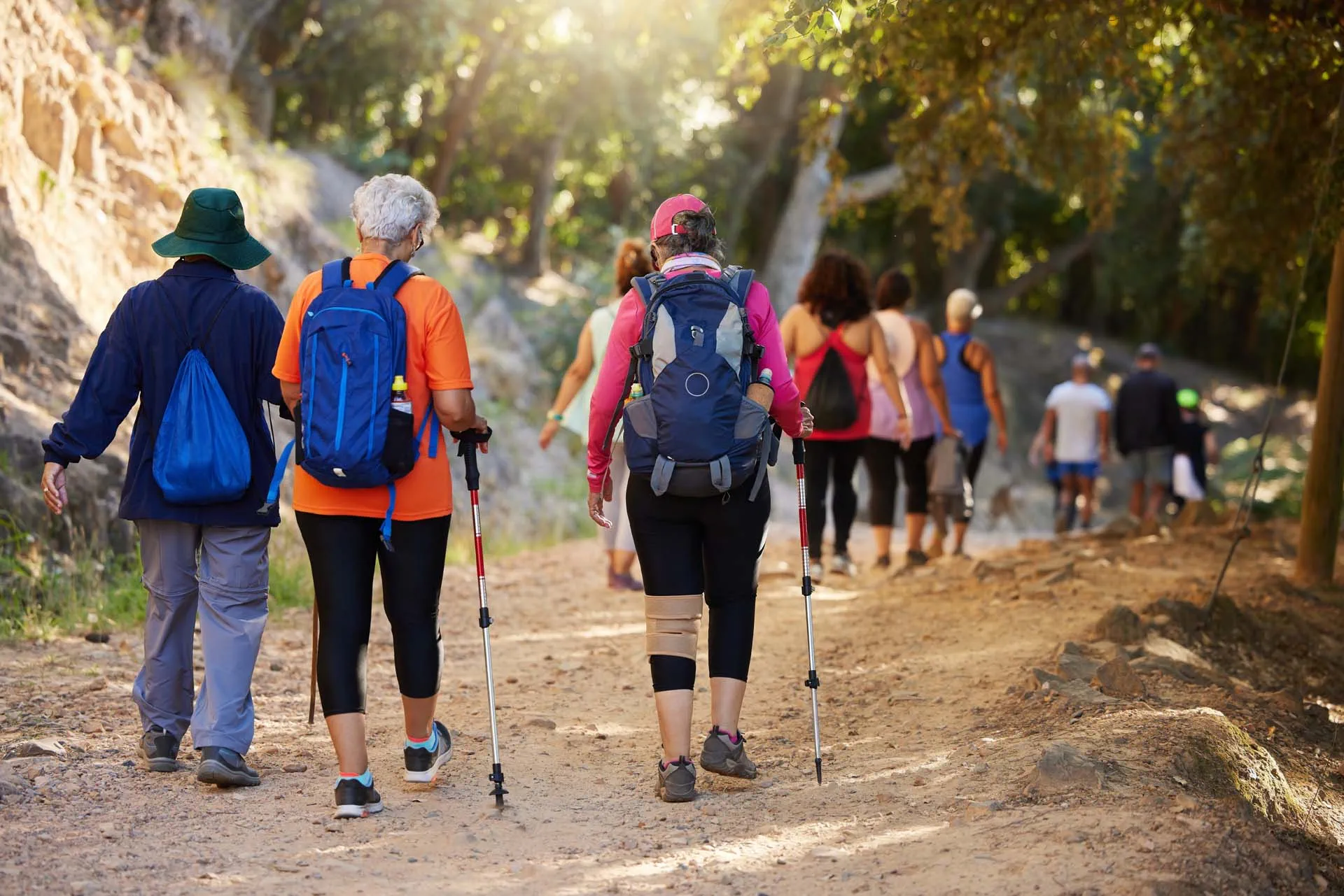 Side view of walkers moving along a tree-lined path
